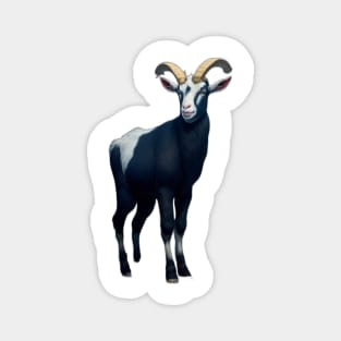 Goat Magnet