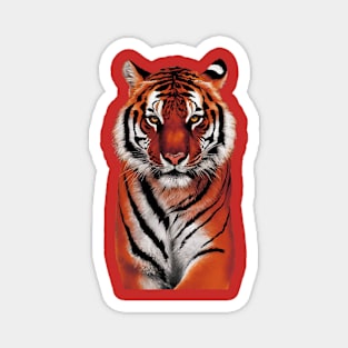 Tiger Magnet