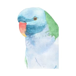 Red-breasted parakeet T-Shirt