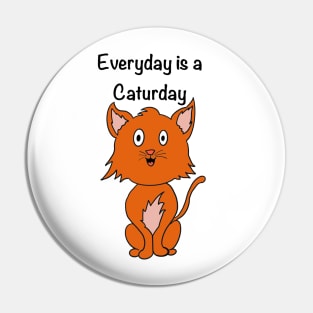 Everyday is a caturday Pin