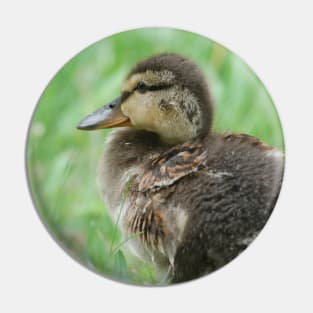 Duckling Pin