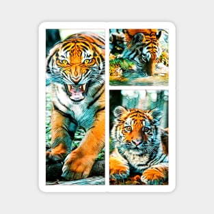 3 Tigers Magnet