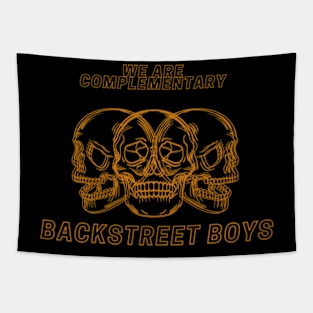 we are complementary BACK STREET BOYS Tapestry