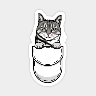 Funny American Shorthair Pocket Cat Magnet