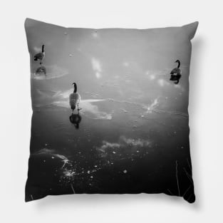 Ducks on a frozen lake Pillow