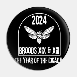 Cicada 2024 Brood XIX, Brood XIII Pin