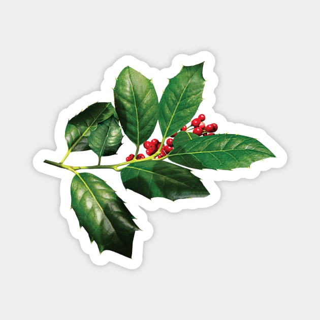 Sprig of Holly Magnet by SusanSavad