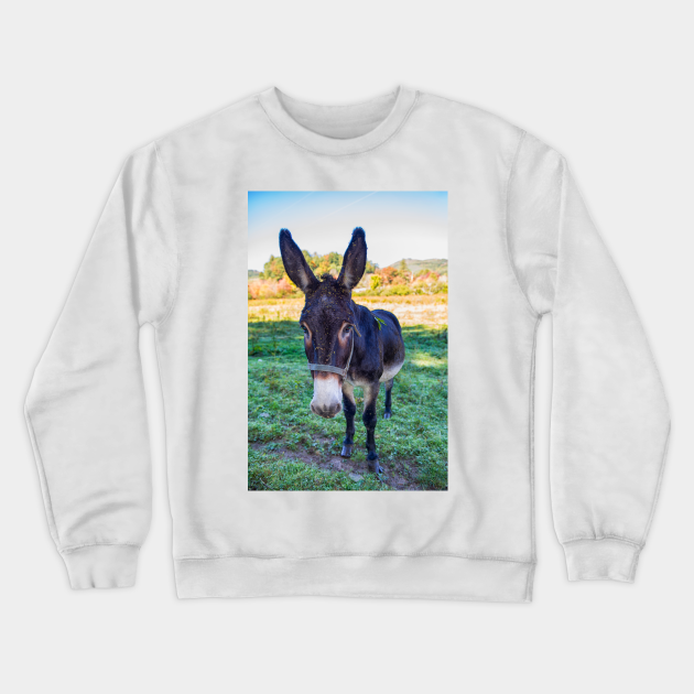 donkey sweatshirt