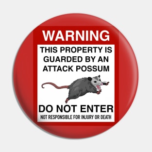 Warning Pin