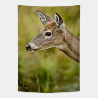 White -tailed Deer Tapestry