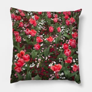 Tulip garden Pillow