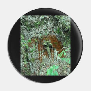 Waterhole hole in the forest Pin