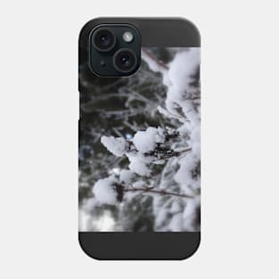 butterfly bush in winter Phone Case