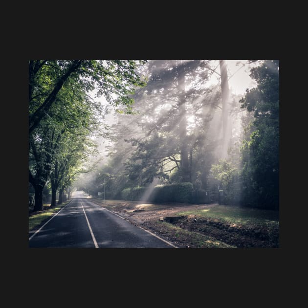 Macedon Misty Morning by LukeDavidPhoto