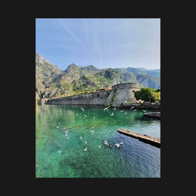 Fortress wall in Kotor by Zamart20