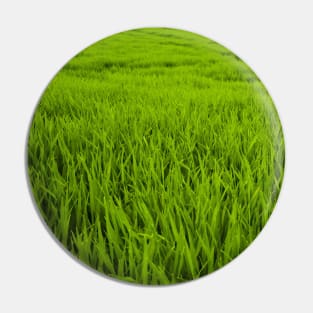 SCENERY 95 - Green Grass Field Outdoor Land Lawn Pin