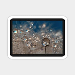 Deep Blue Dandelion Drops Magnet