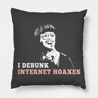 I Debunk Internet Hoaxes Pillow