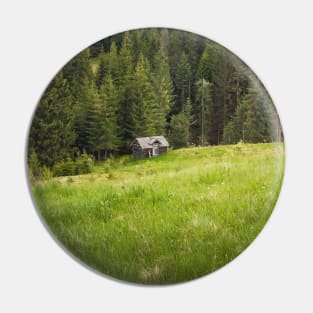 Picturesque Carpathians Scene Pin