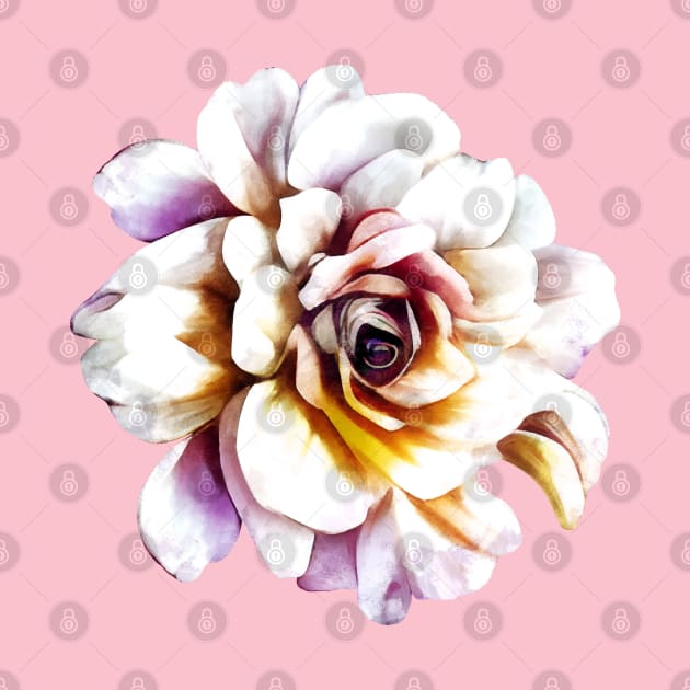 White Rose by CatyArte