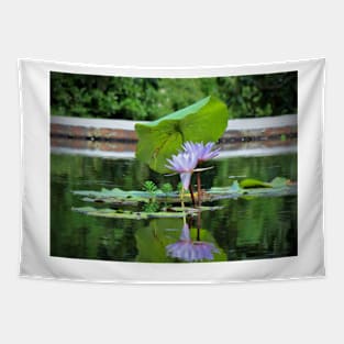 Umbrella Pad For Lilies Tapestry