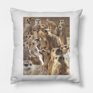 Suricate Pillow