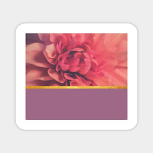 Beautiful pink flower composition Magnet