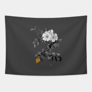 Black and Gold Leaf - Blooming White Rosebush - Vintage Botanical Tapestry