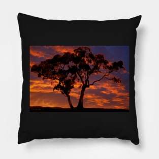 Lone Tree Silhouette Pillow