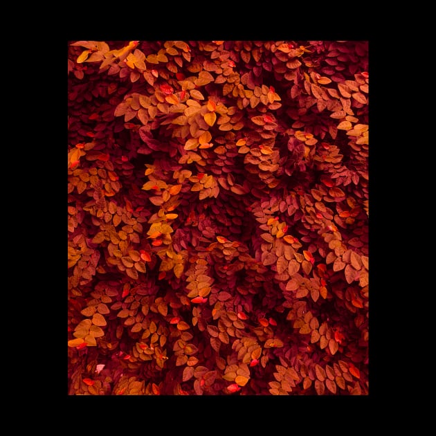 Autumn red and orange leaves - Abstract photography by ArtByMe