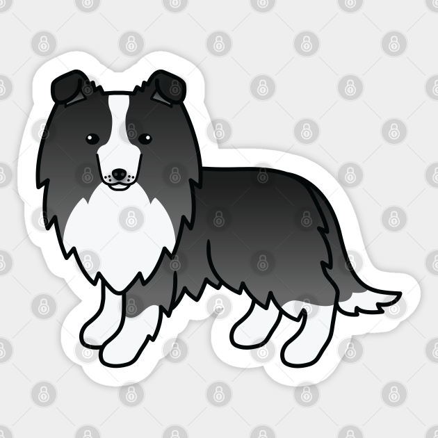 Bi Black Shetland Sheepdog Sheltie Dog Cute Cartoon Illustration Shetland Sheepdog Sticker Teepublic Here are ten things you might not know about the breed. bi black shetland sheepdog sheltie dog cute cartoon illustration
