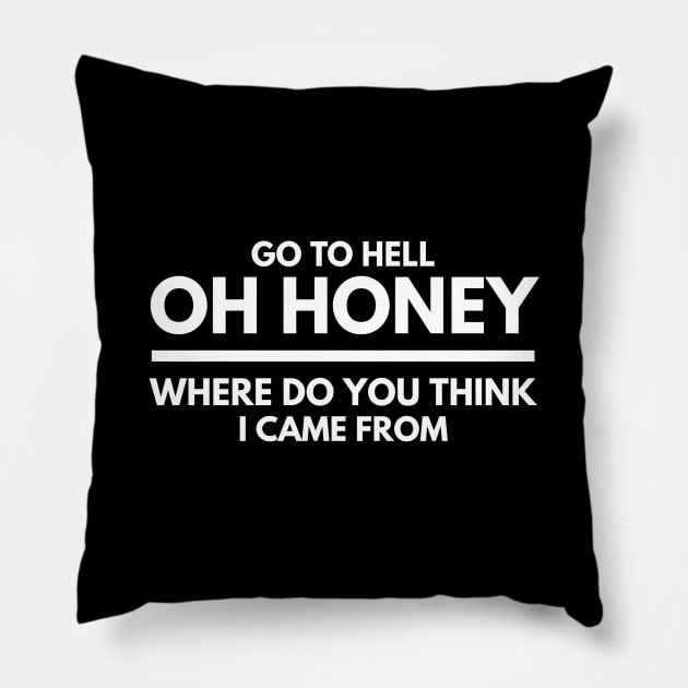 Go To Hell Oh Honey Where Do You Think I Came From - Funny Sayings Pillow by Textee Store