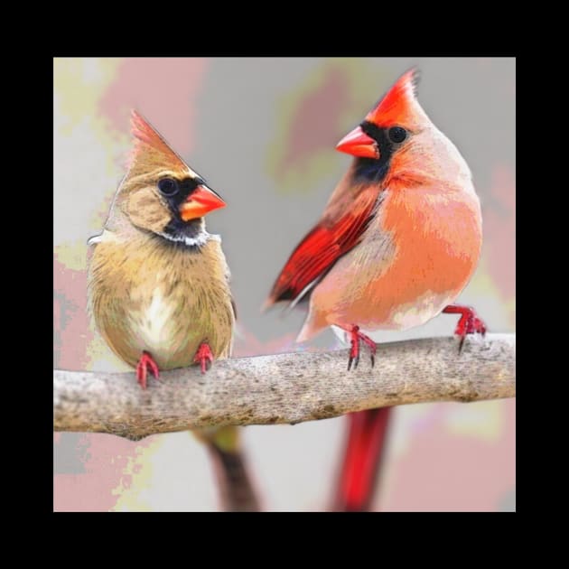 Beautiful Cardinals by clbtees