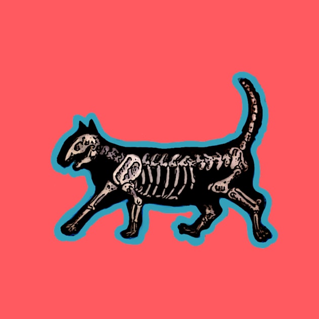 Skeleton of a Kitty by ckrickett