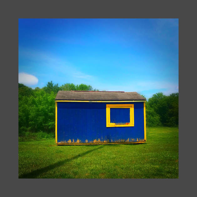 Blue shed by pvjaffe