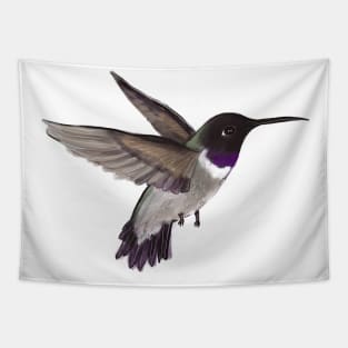 Hummingbird Tapestry