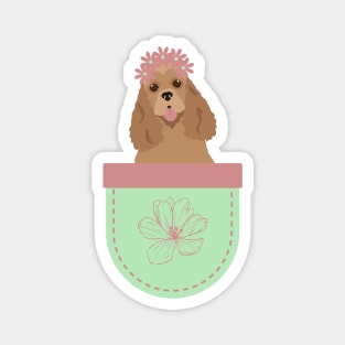 American Cocker Spaniel in Spring Flower Pocket Magnet