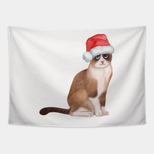 Cute And Lovely Animals With Christmas Tapestry