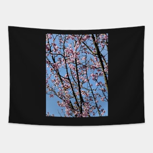 Japanese cherry blossom flowers Tapestry