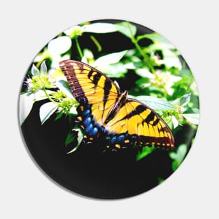 Eastern Tiger Swallowtail Pin