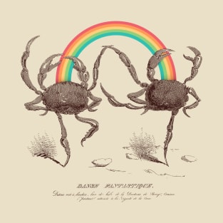 Fantastic Dance T-Shirt