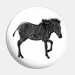 Grevy's zebra foal Pin