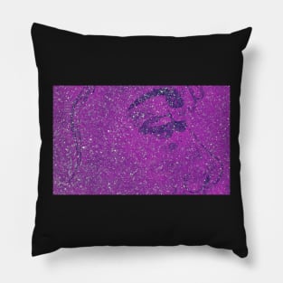 Glitter Moonwalker No. 10 Pillow