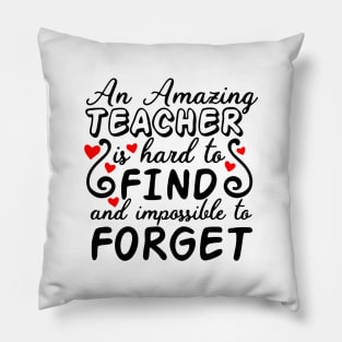 an amazingTeacher Pillow