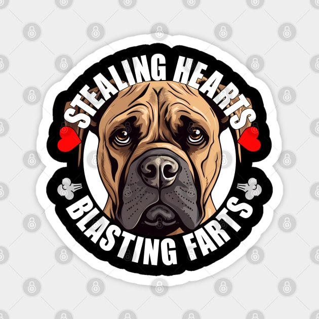 Funny Boerboel Stealing Hearts Blasting Farts Dog Cute Puppy Magnet by Sports Stars ⭐⭐⭐⭐⭐