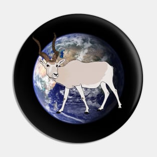 Fabulous planet of diversity : ADDAX Pin