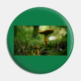 Mushrooms Pin
