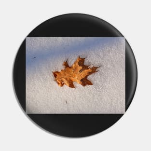 Just another fallen leaf Pin