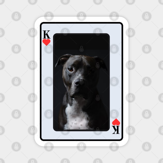 Pit Bull King Of Hearts Magnet by HighwayForSouls