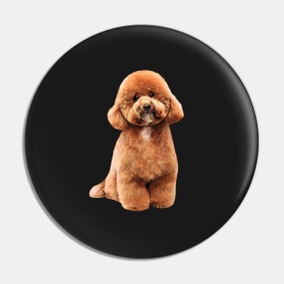 Toy Poodle Gorgeous Mini Dog Teddy Pin